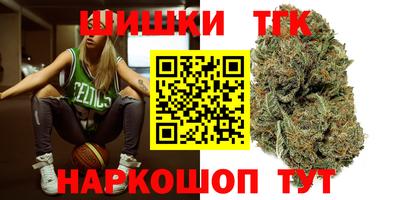 МДПВ Пушкино