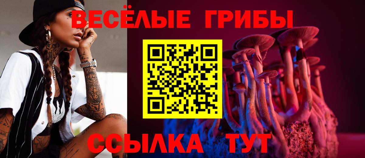 Псилоцибиновые грибы MAGIC MUSHROOMS Пенза