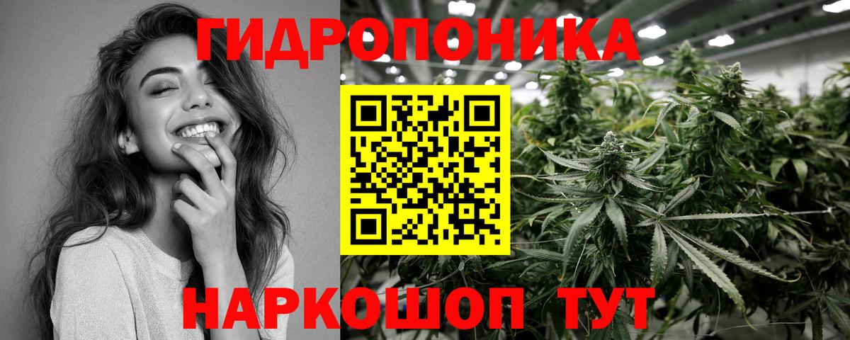 Бошки Шишки SATIVA & INDICA  Конопля AK-47  Пенза  Вход с VPN 
